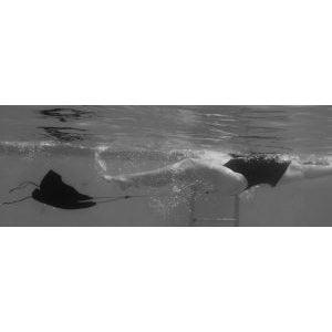 Swimmers Best Power Bags