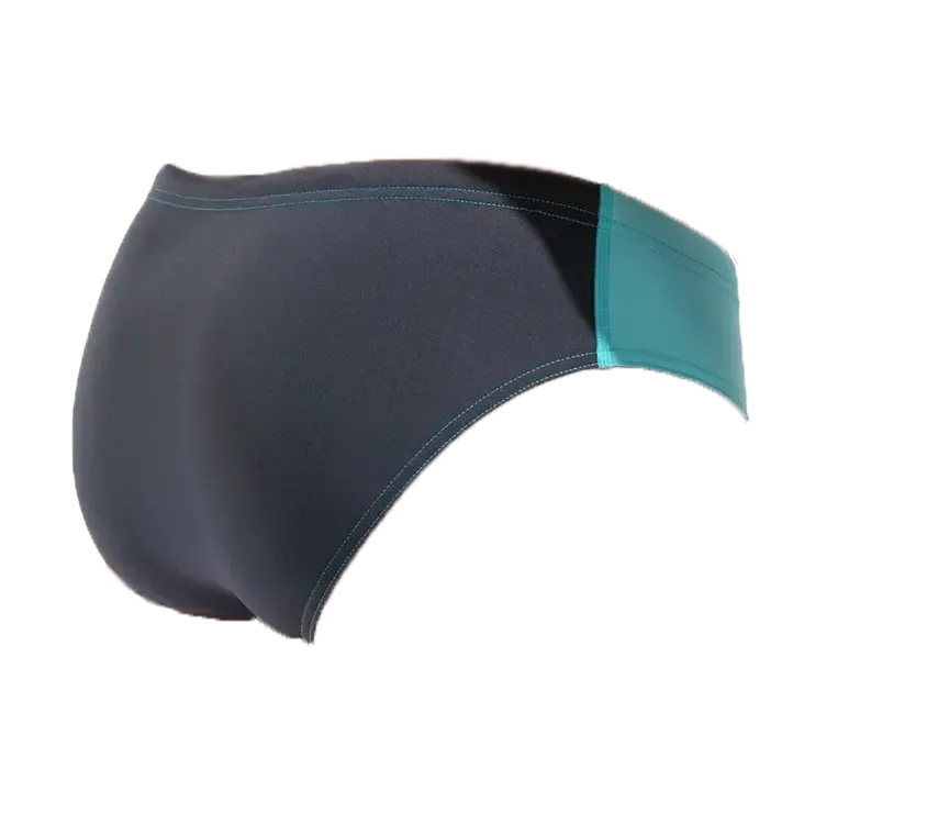 Arena Men's Team Solid Brief