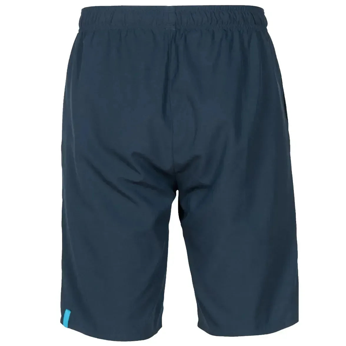 Arena Team Bermuda Panel Shorts