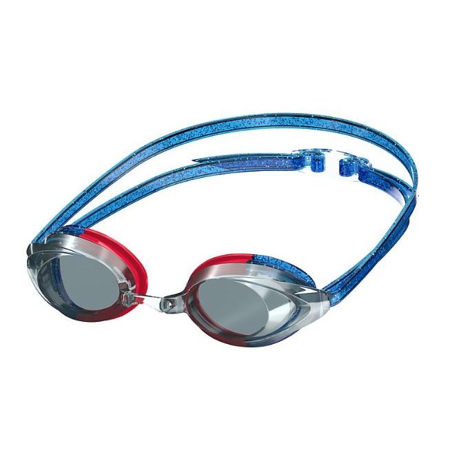 Speedo Vanquisher 2.0 Mirrored LTD