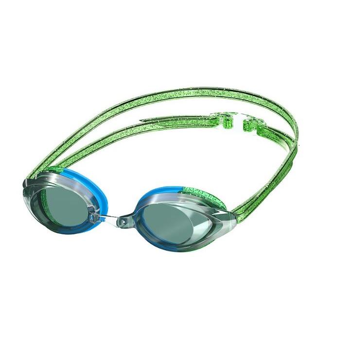 Speedo Vanquisher 2.0 Mirrored LTD